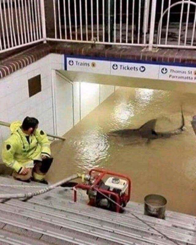 a man in a yellow jacket is working on a boat